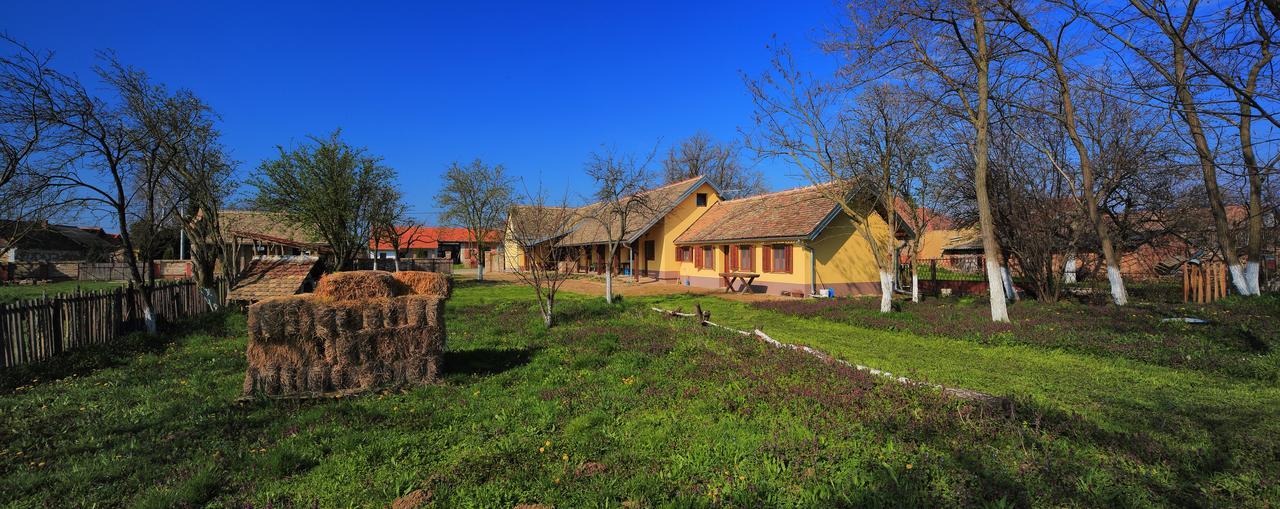 Bed and Breakfast Sobe Kod Baje - Baranjska Kuca à Karanac Extérieur photo