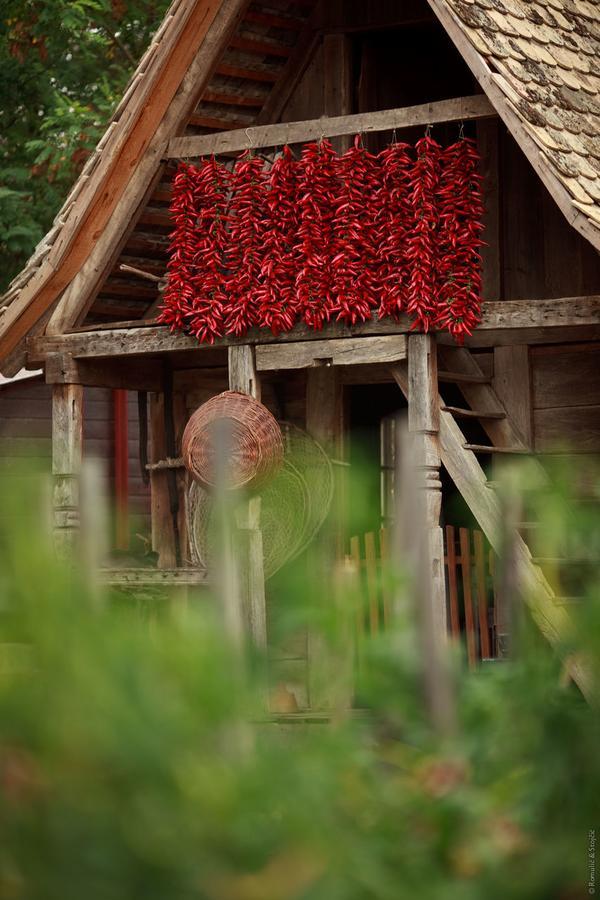 Bed and Breakfast Sobe Kod Baje - Baranjska Kuca à Karanac Extérieur photo